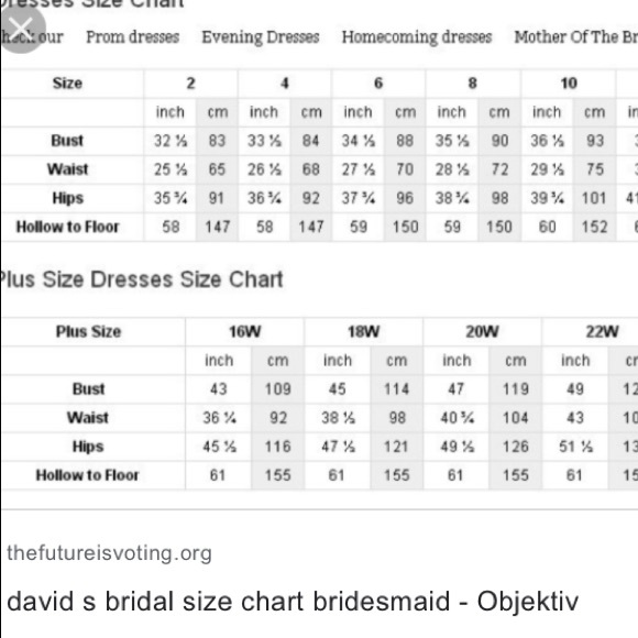 David’s Bridal  Size 16. NWOT - Picture 6 of 6